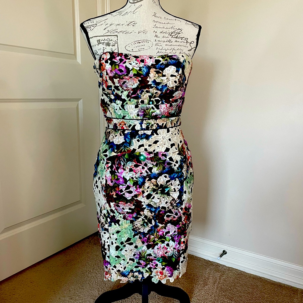 Beautiful Embroidered Floral Nicole Miller Dress